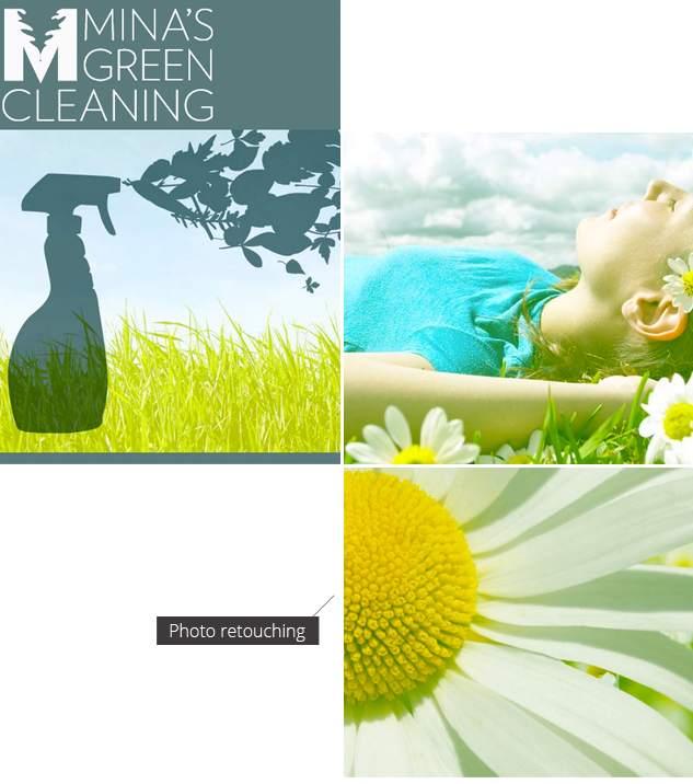 Mina's Green Cleaning